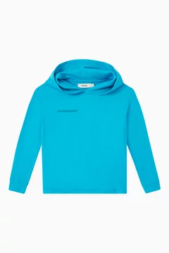 Seahorse Blue
