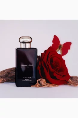 Buy Jo Malone London Velvet Rose & Oud Eau de Parfum Intense