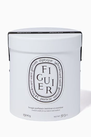 Figuier Candle, 1500g  