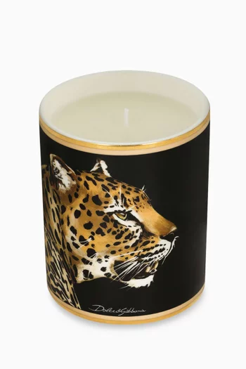 Patchouli Porcelain Scented Candle, 340g