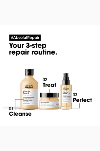 Absolut Repair Shampoo and Mask Duo