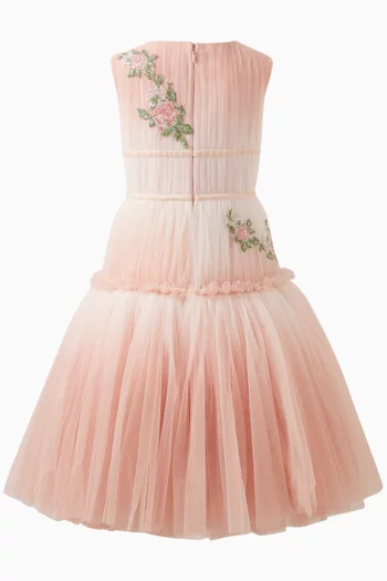 Liana Embroidered Dress in Tulle