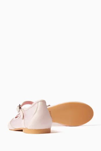 Lily Ballerinas in Leather & Mesh