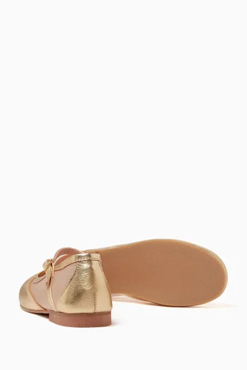 Lily Ballerinas in Leather & Mesh