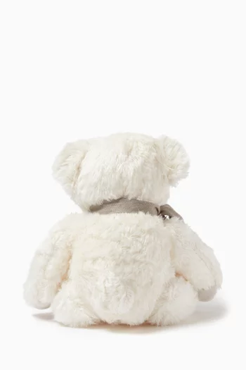 Fluffy Teddy Bear Toy in Organic Cotton