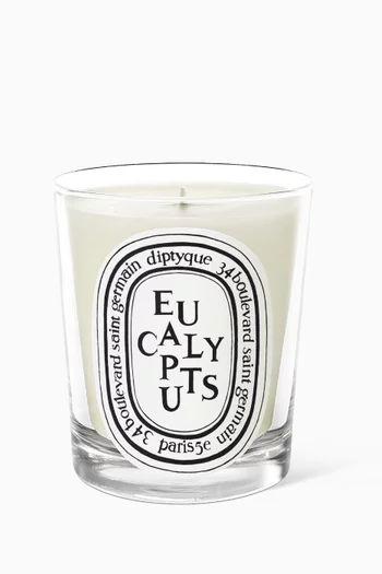 Eucalyptus Candle, 190g 