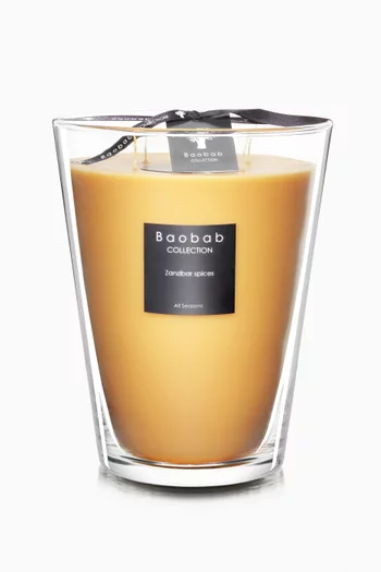 Max 24 Zanzibar Spices Candle