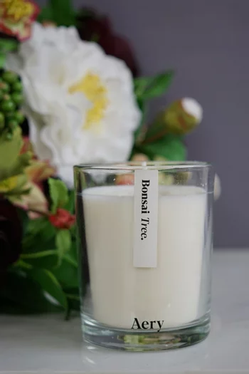 Bonsai Tree Candle, 200g