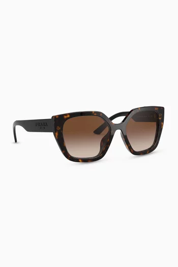 Irregular Sunglasses in Acetate     