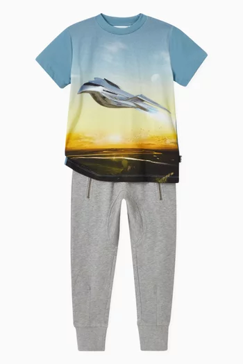 Ashton Sweatpants in Organic Cotton