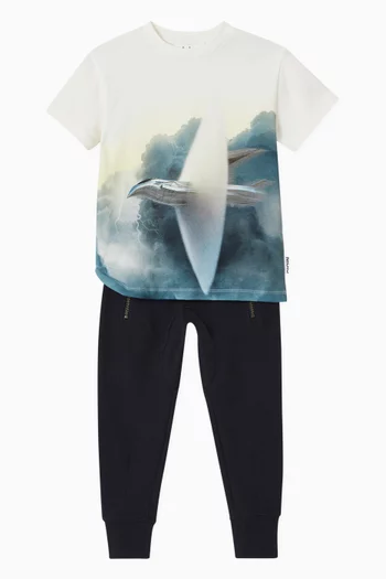 Ashton Sweatpants in Organic Cotton