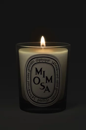 Mimosa Candle, 190g