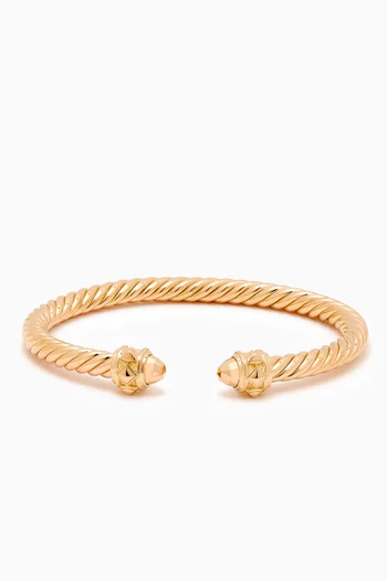 Renaissance Bracelet in 18kt Gold