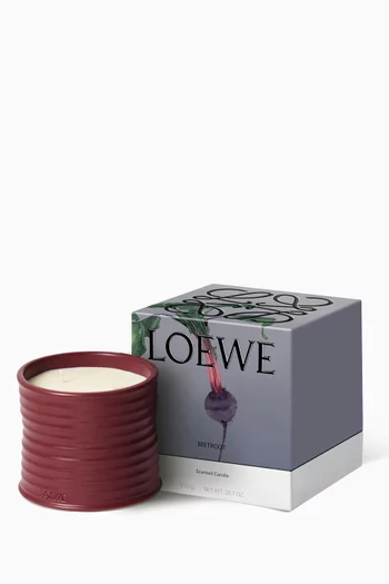 شمعة معطرة بيتروت متوسطة، 610 غرام