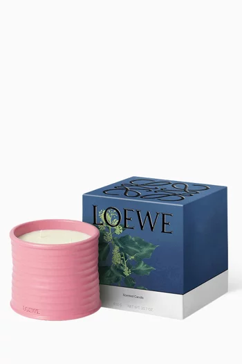 Medium Ivy Scented Candle, 610g