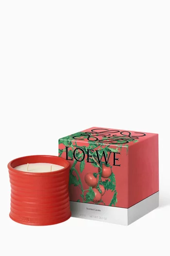 Medium Tomato Leaves Scented Candle, 610g