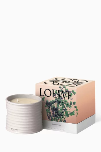 Medium Oregano Scented Candle, 610g