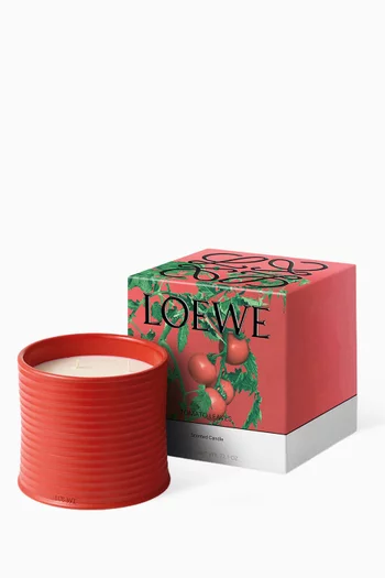 Large Tomato Leaves Scented Candle, 2120g