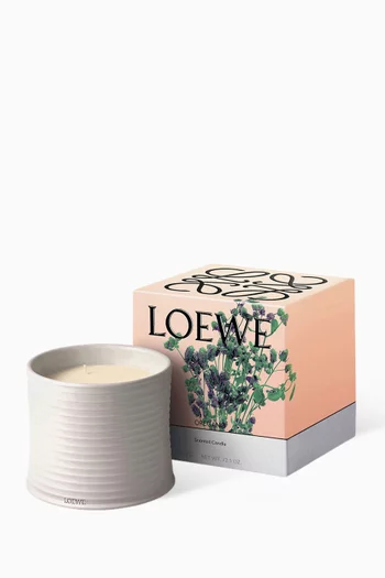 Large Oregano Scented Candle, 2120g