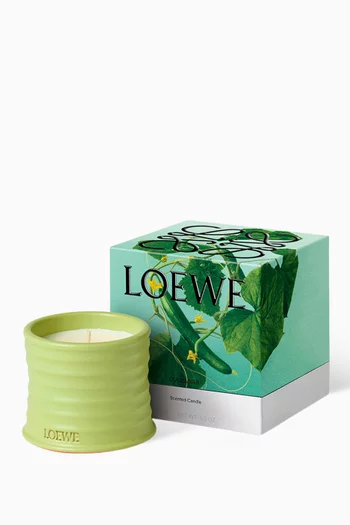 شمعة معطرة كيوكمبر صغيرة، 170 غرام