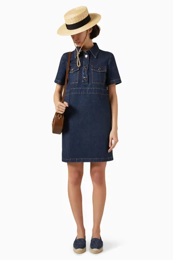 Mini Dress in Denim