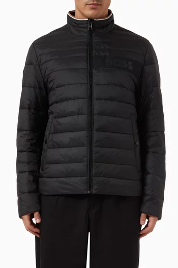 Darolus Quilted Jacket in Nylon