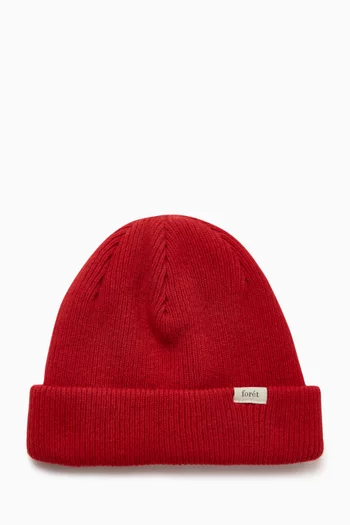 Top Beanie in Ribbed Knit
