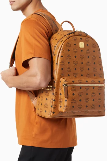 Stark Backpack in Visetos Canvas
