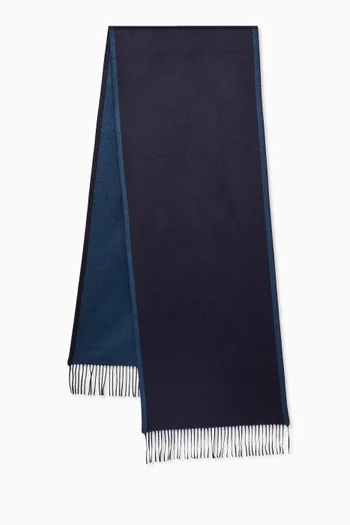 Scarf With Fringes in Silk