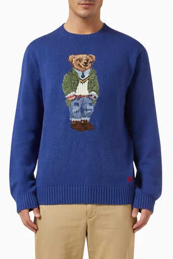 Polo Bear Pullover in Cotton