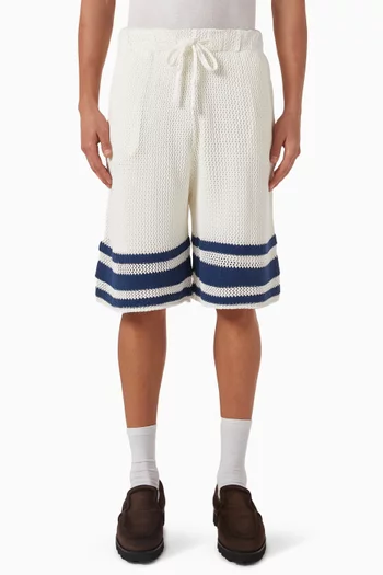 Shane Stripe Shorts in Knit