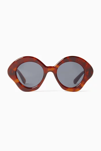 Curvy Sunglasses in Acetate