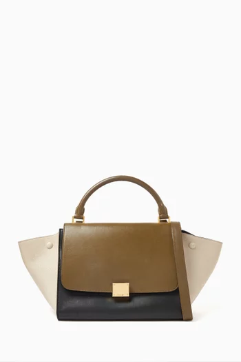Trapeze Top-handle Bag in Leather