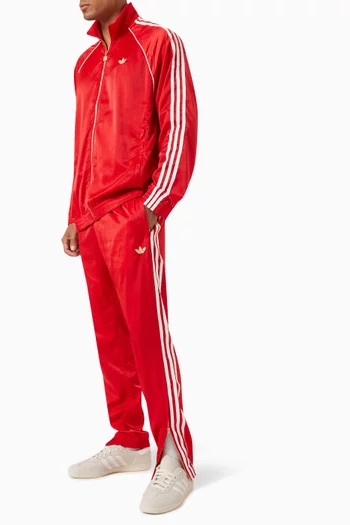 Premium Striped Track Pants in Nylon