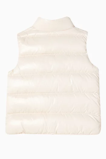 Bernard Down Vest in Nylon