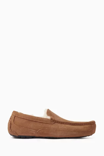 Ascot Slippers in Suede
