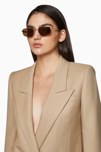 Leo Sunglasses in Metal