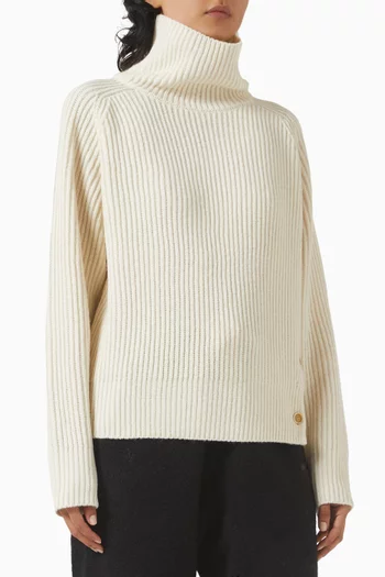 Turtleneck Sweater in Ribbed-wool