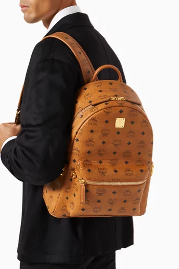 Stark Backpack in Visetos Canvas
