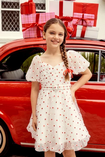 Enchanted Embroidered Dress