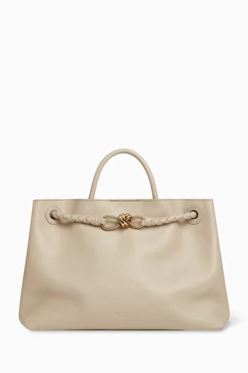 Medium Andiamo Top-handle Bag in Leather