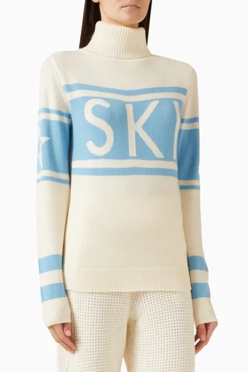 Schild Sweater in Merino Wool