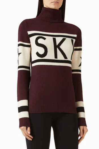 Schild Sweater in Merino Wool