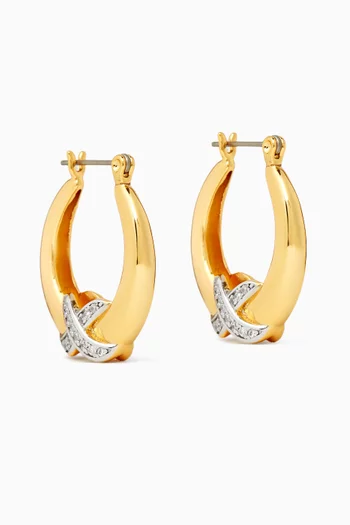 Martina Cubic Zirconia Hoop Earrings in Brass