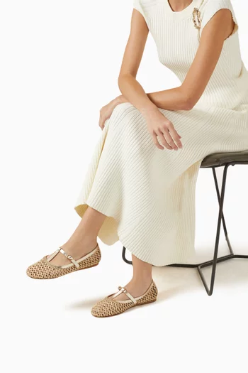 Aerati Ballet Flats in Raffia & Leather