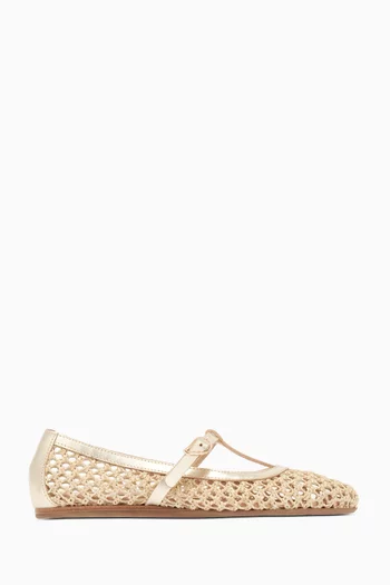 Aerati Ballet Flats in Raffia & Leather