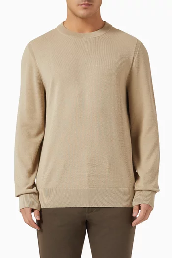 Ecaio Sweater in Cotton
