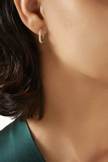 Hass Crystal Hoop Earrings in 14kt Gold-plated Silver