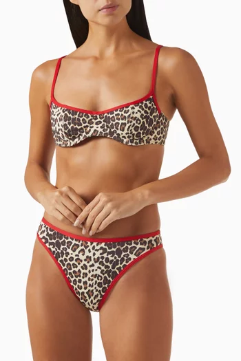 Beck Bikini Briefs in Stretch Nylon