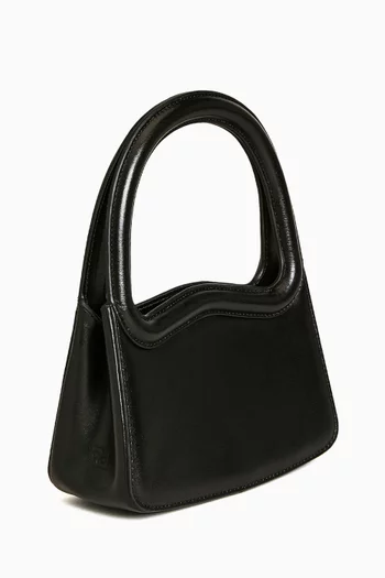 Mini Luciana Frame Bag in Calf Leather